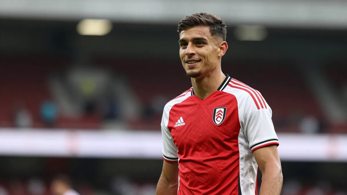 Fulham have completed a £30m deal for Shea Charles, adding pace to their frontline as they aim to improve on a 11th-place...